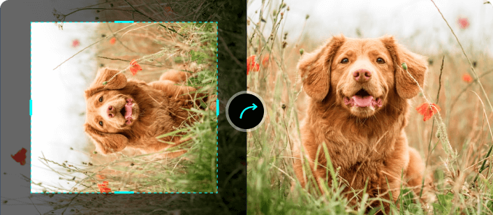 Crop Video Rotate