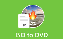DVD Authoring