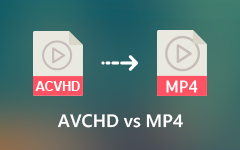 YouTube to MP4 Converter Software Online