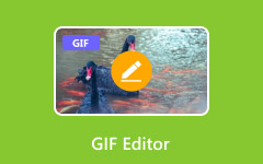 GIF Editor