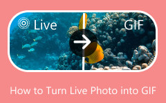 Turn Photo Into GIF
