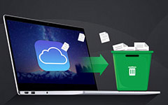 Delete iCloud Backup 