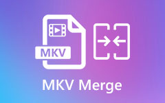 MKV merge