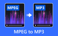MPEG to MP3