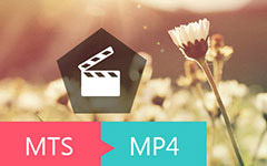 Convert MTS to MP4